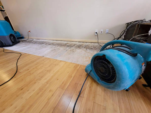Professional Sewage Cleanup technician working in Elco, PA